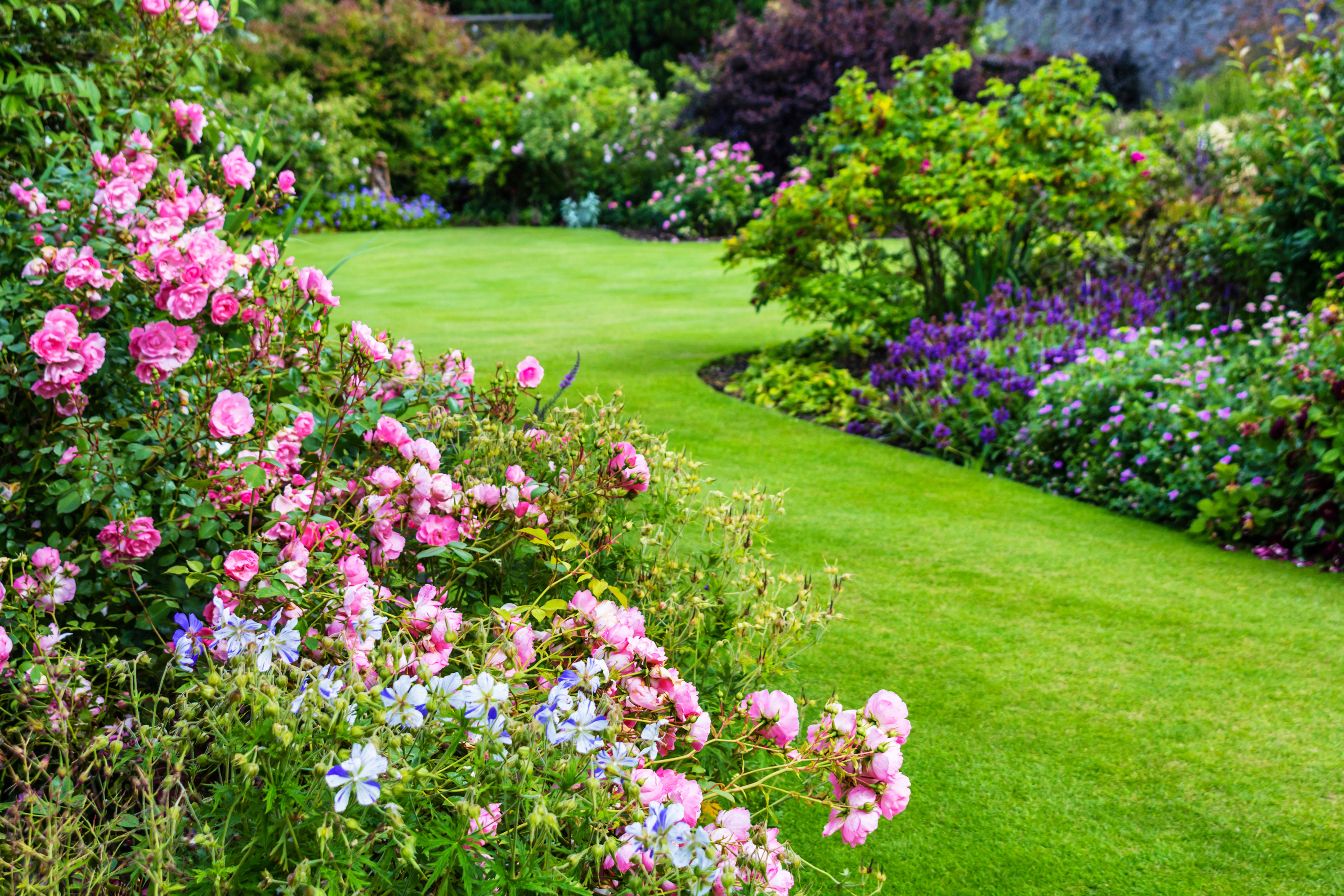 Trädgårdsjord - för perenna blommor, buskar och träd.