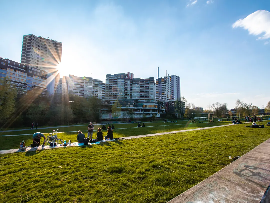Gräsjord - för nyanläggning och restaurering av gräsmatta.