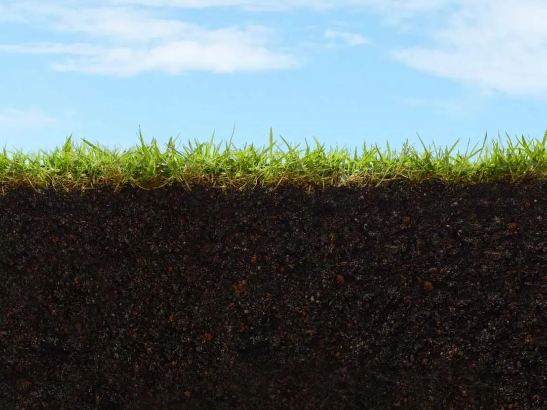 Bild på gräsmatta: kvalitetsjord för anläggning och plantering.
