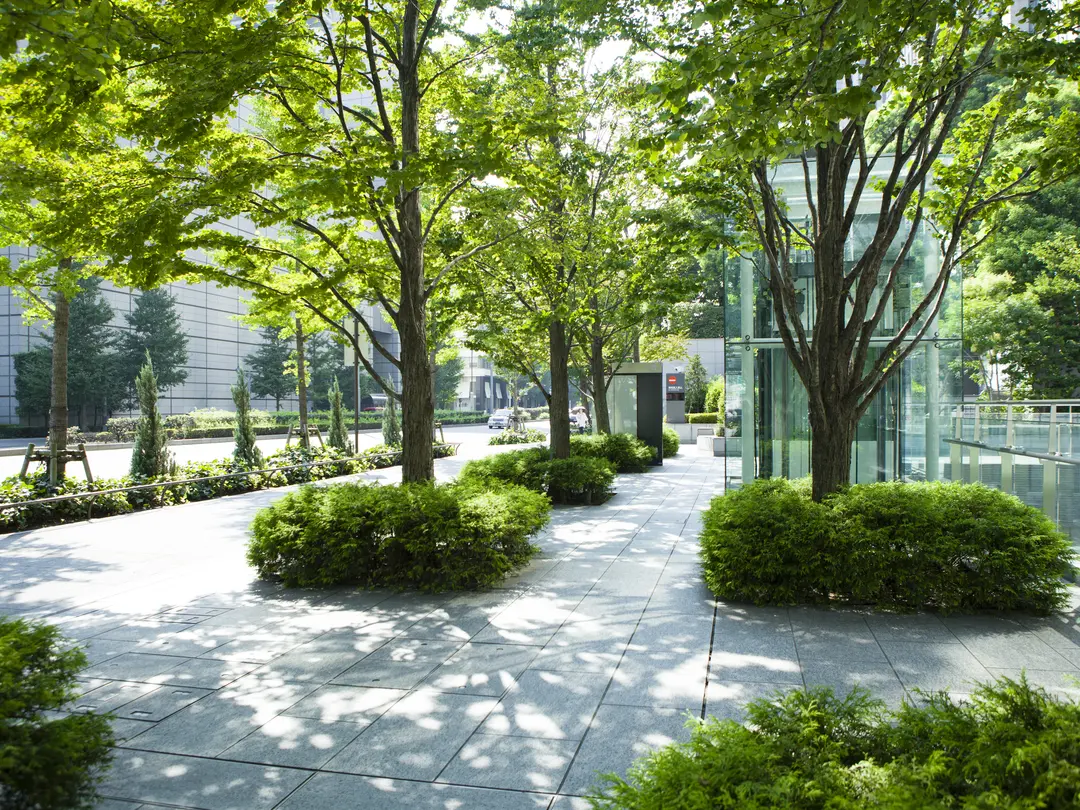 Citymakadam -kolmakadam med biokol för plantering i stadsmiljö